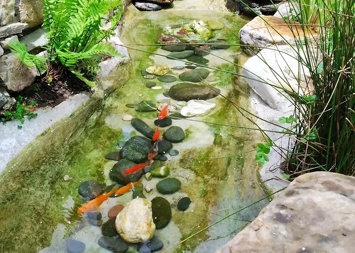 Дом отдыха A Curuxa